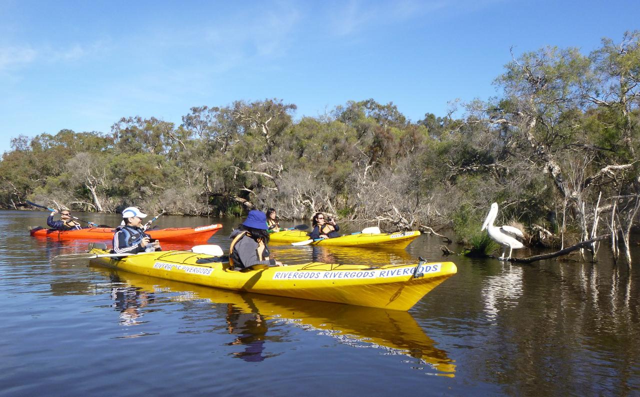 Canning River Half Day Tour (Kent Street Weir)